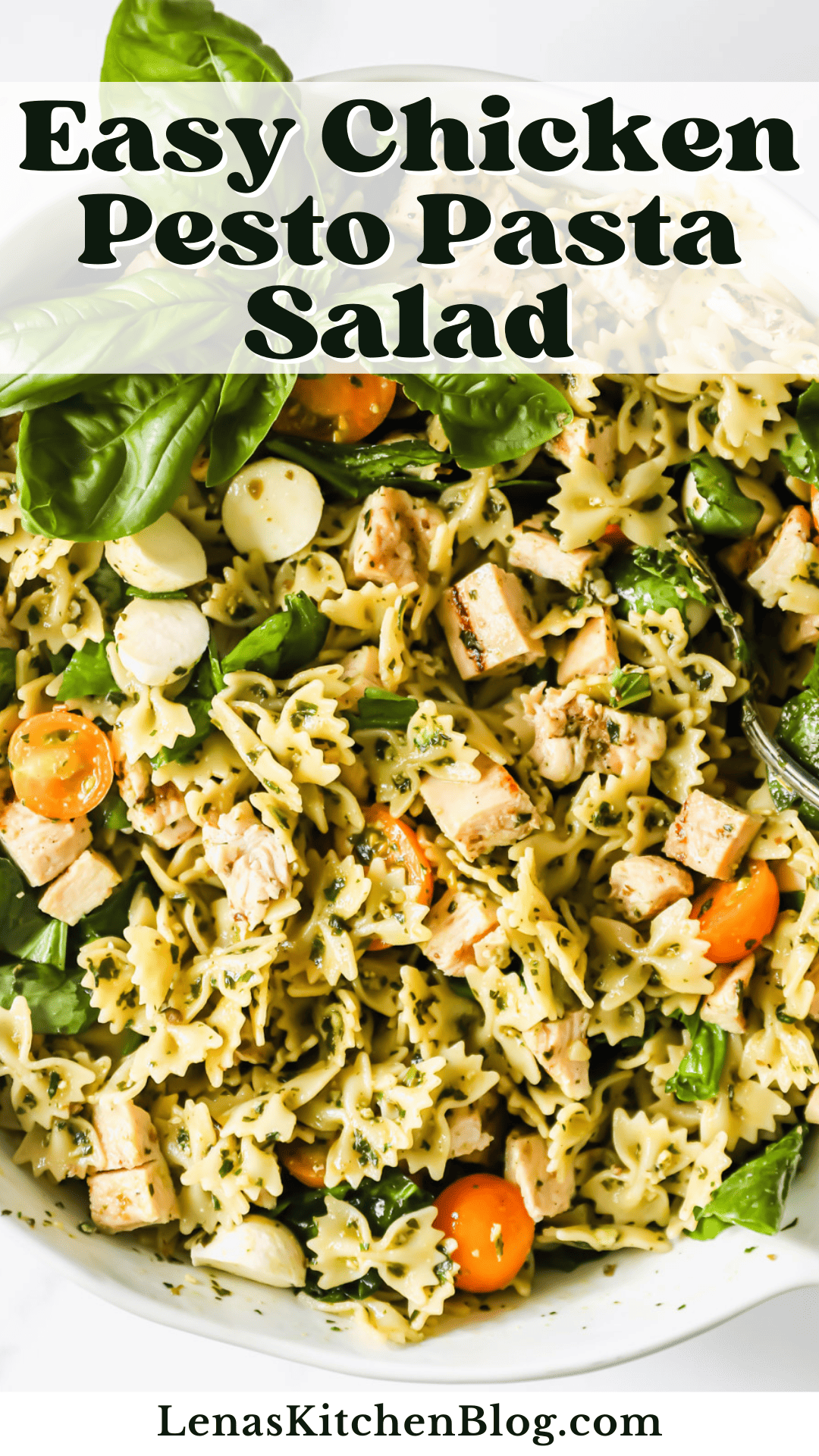 Easy Chicken Pesto Pasta Salad Recipe At Autumn Allen Blog Easy Chicken Pesto Pasta Salad Recipe At Autumn Allen Blog