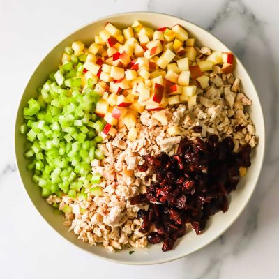 A bowl containing chopped celery, diced apples, cooked chicken pieces, and dried cranberries arranged in separate sections.