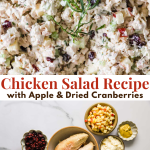 Bowl of chicken salad with apples and dried cranberries, displayed with ingredients including cooked chicken, apple, cranberries, green onion, mayonnaise, and seasonings.