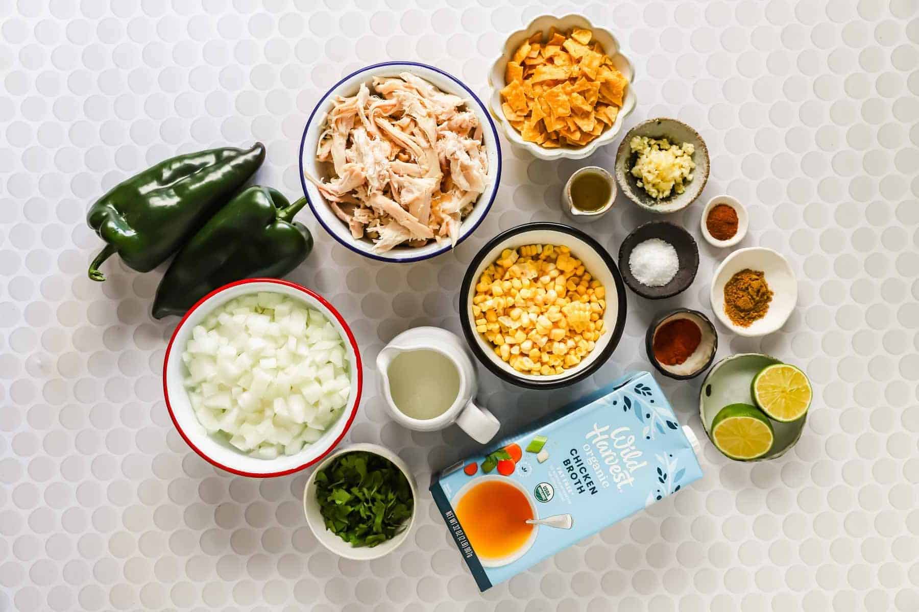 Overhead shot of ingredients to make chicken poblano soup.