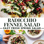 A colorful radicchio and fennel salad is served on plates, with fresh herbs and citrus slices visible. Hands are holding utensils, and the text reads: "Radicchio Fennel Salad - Easy Fresh Spring Salad.