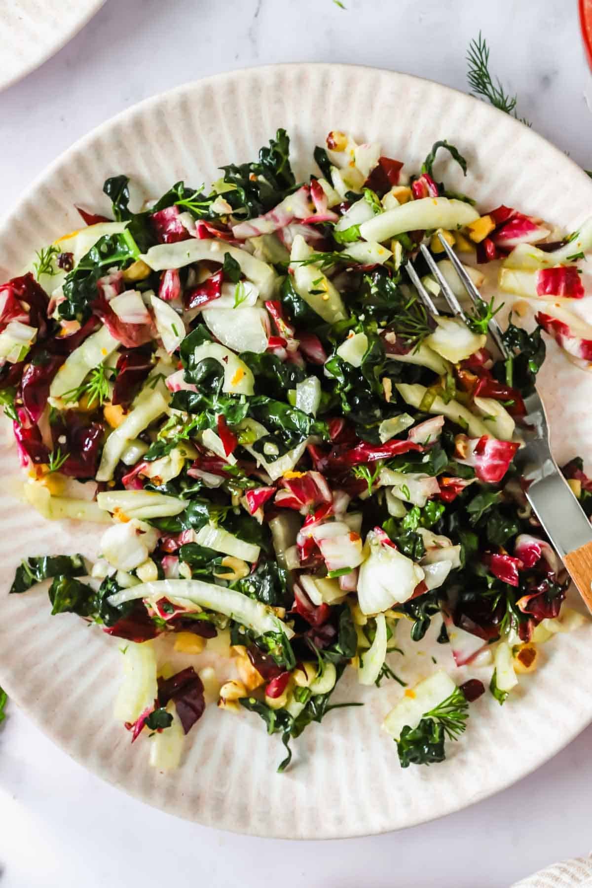A plate of mixed radicchio fennel salad with chopped greens, radicchio, fennel, and herbs, served with a fork on a light-colored ceramic plate.