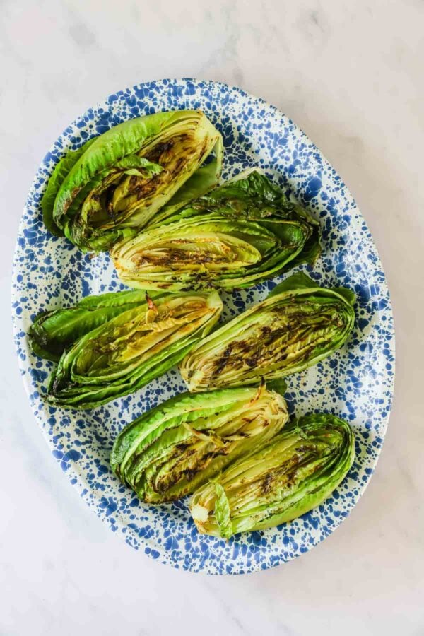 Six grilled romaine lettuce halves arranged on a blue and white speckled oval plate, placed on a light marble surface.