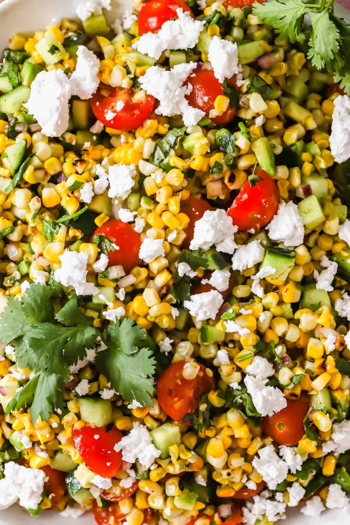 A close-up of a fresh corn salad with cherry tomatoes, cucumber, cilantro, and crumbled cheese on top.