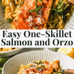 A plate of salmon served over orzo pasta with spinach, topped with tomato sauce and herbs, displayed in a shallow bowl.