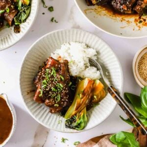 A bowl of white rice with braised beef, bok choy, and chopped green onions, served with a fork.