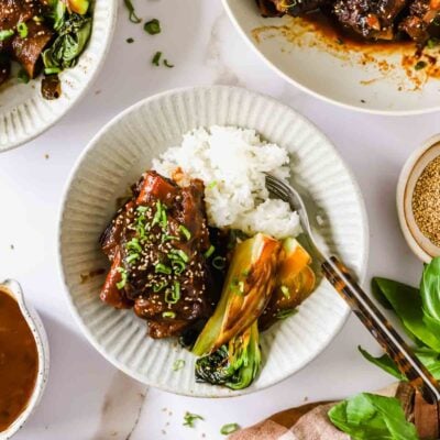 A bowl of white rice with braised beef, bok choy, and chopped green onions, served with a fork.